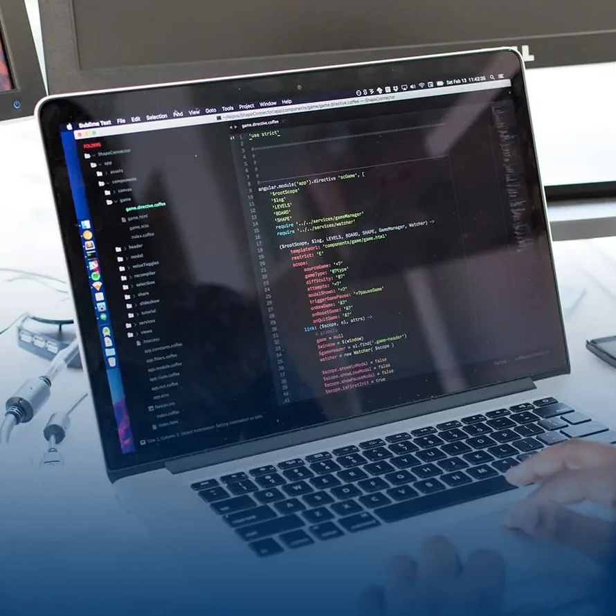 Professionele website laten maken